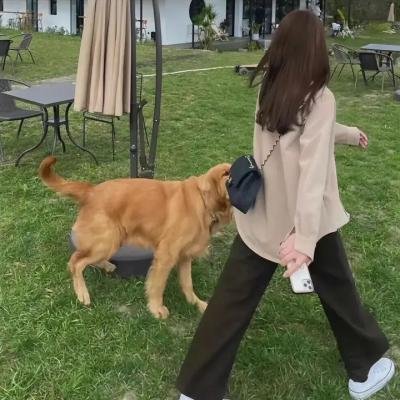 天启四骑士