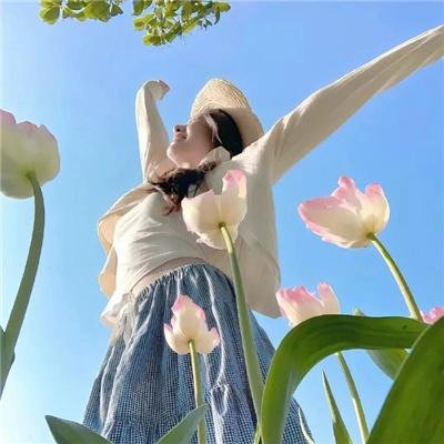 辛巴达：复仇女神的战争